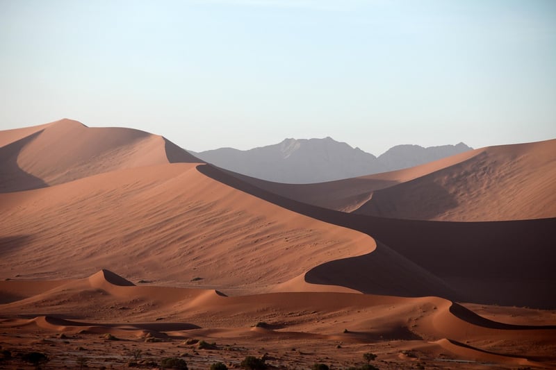 Desert Adventure