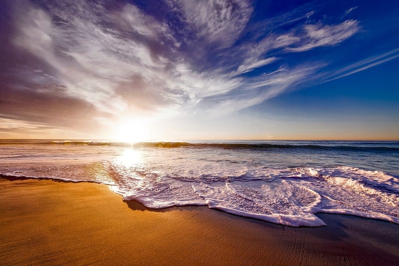 Island Paradise