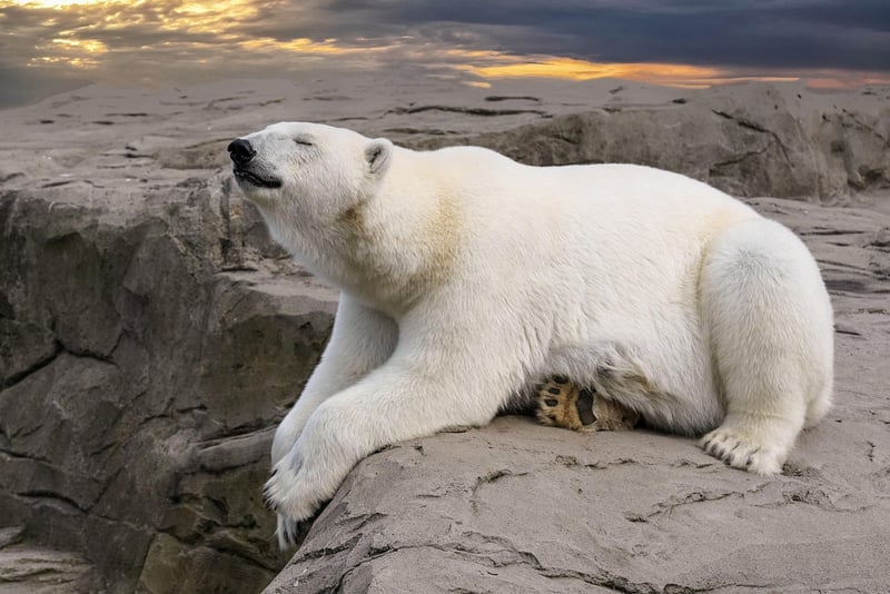 Svalbard